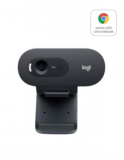 Logitech C505 HD webcam